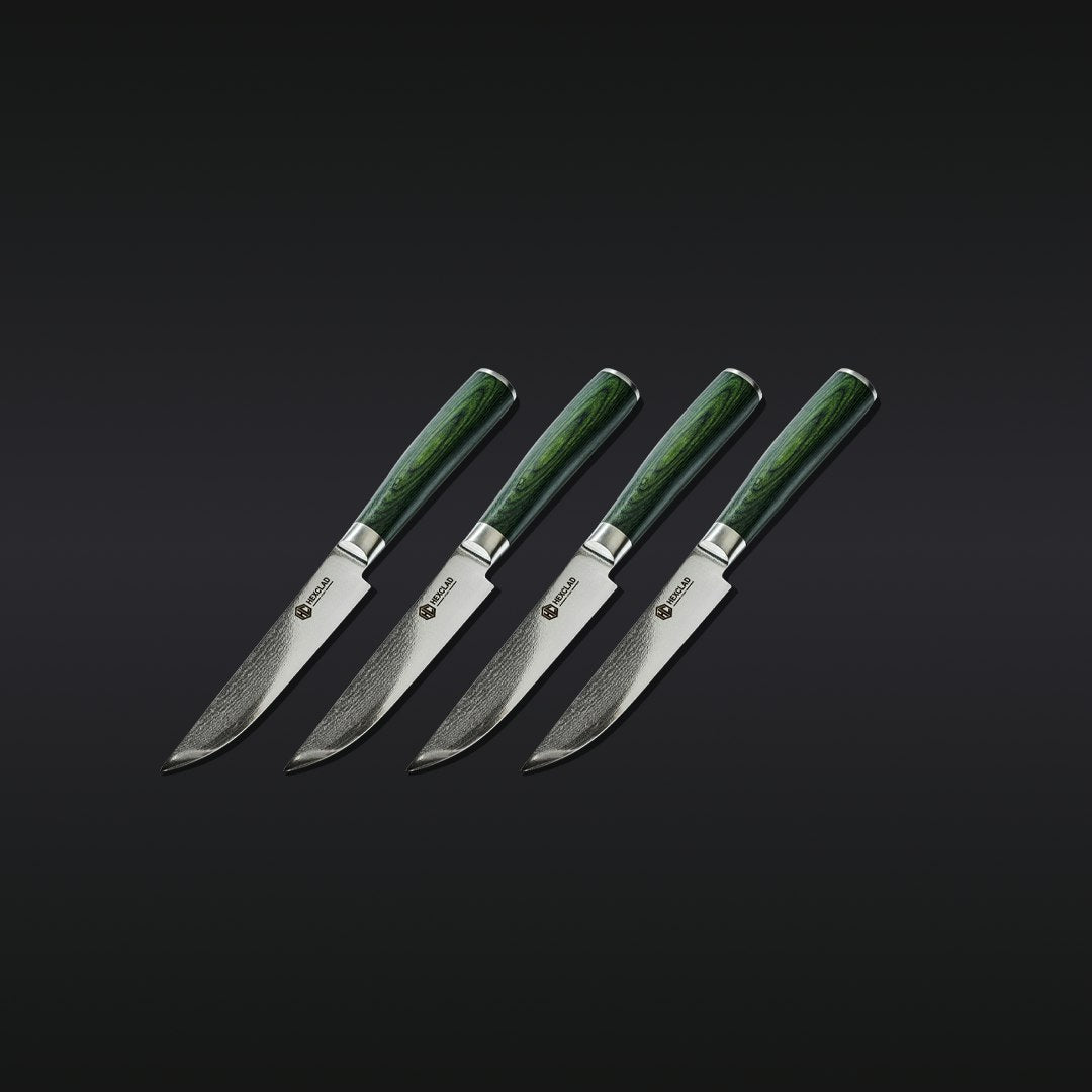 Steak Knife & Bistecca Plate Set, 16-pc (Green)